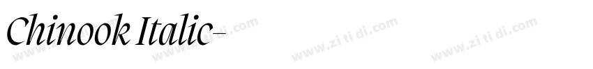Chinook Italic字体转换 Chinook Italic字体转换